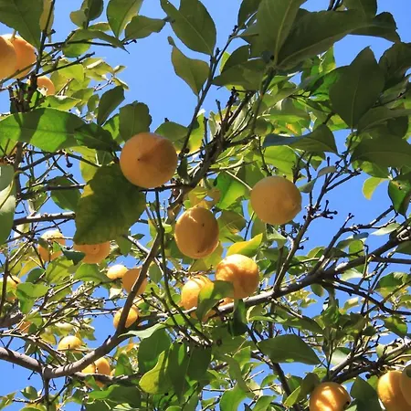 With Parking Space Slatine, Ciovo - 8658 * Slatine